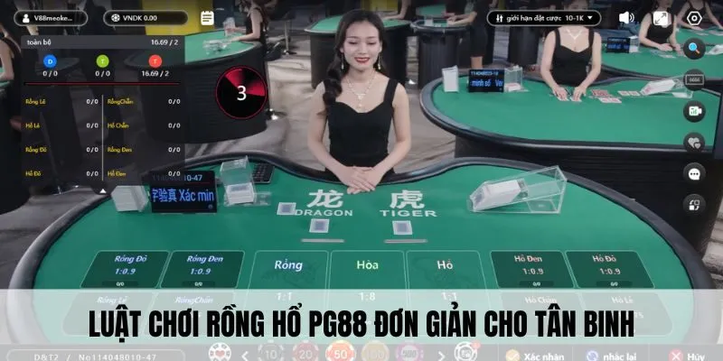Rồng Hổ PG88 - Đặt Kèo Đẳng Cấp, Thắng Lớn Liền Tay 3 Luật chơi rồng hổ PG88 đơn giản cho tân binh