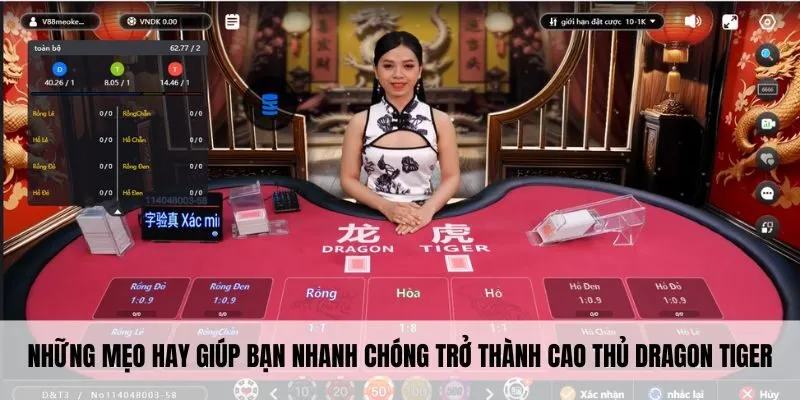 Rồng Hổ PG88 - Đặt Kèo Đẳng Cấp, Thắng Lớn Liền Tay 4 Những mẹo hay giúp bạn nhanh chóng trở thành cao thủ dragon tiger